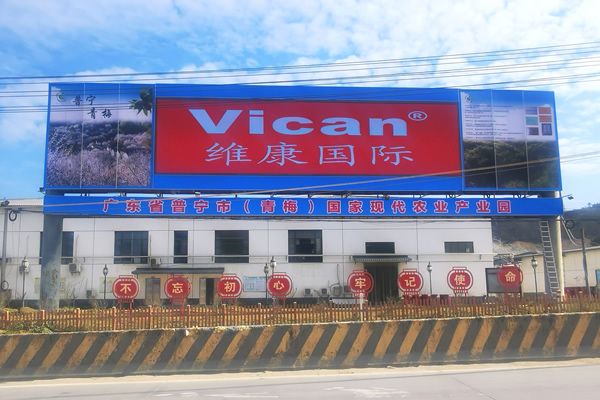 普寧市青梅產業園 - 戶外LED大屏